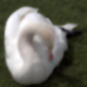 Swan D 2