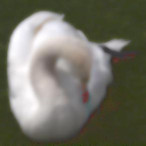 Swan D 4