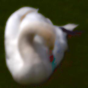 Swan D 6