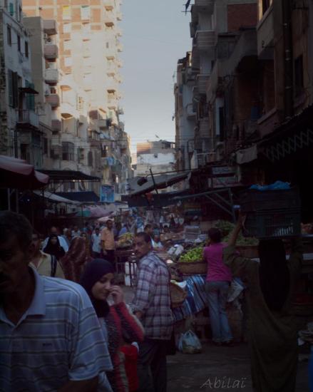 Alexandria's Streets 16