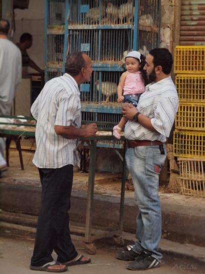 Alexandria's Streets 3
