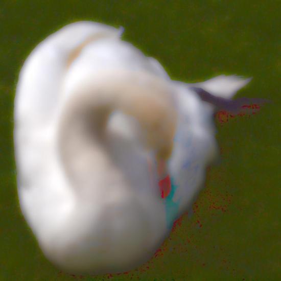 Swan D 5