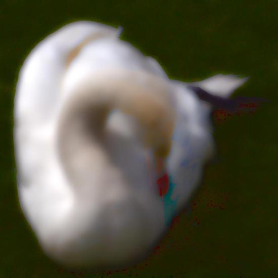 Swan D 6