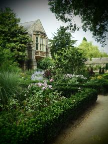 WELLS CATHEDRAL 11