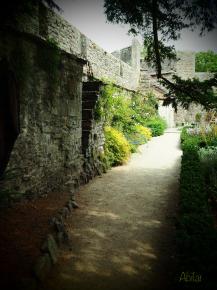 WELLS CATHEDRAL 16