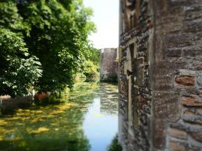 WELLS CATHEDRAL 17